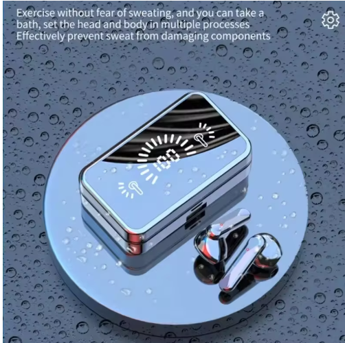 Mirror Finish Earbuds