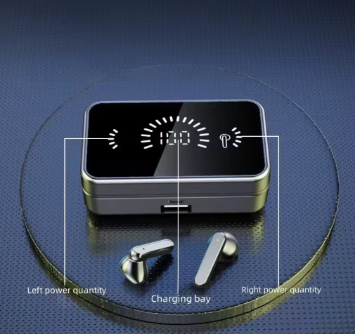 Mirror Finish Earbuds