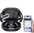 Translation Earbuds