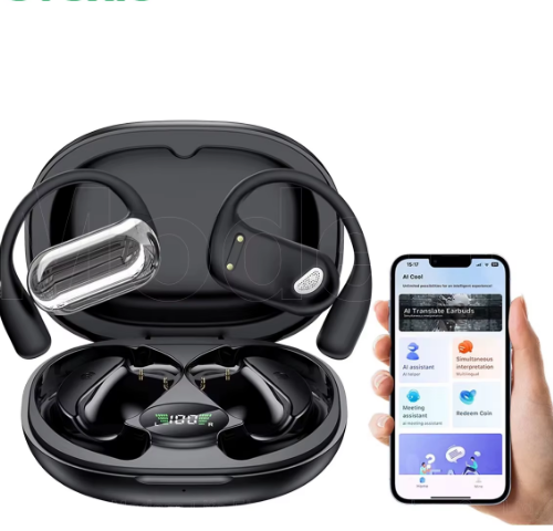 Translation Earbuds