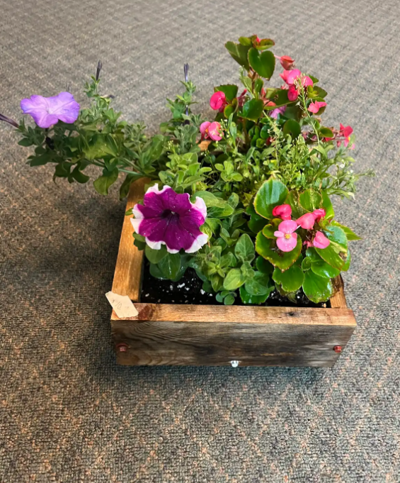 Flower Planter