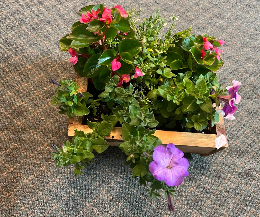 Flower Planter