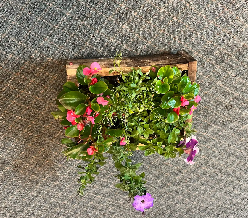 Flower Planter