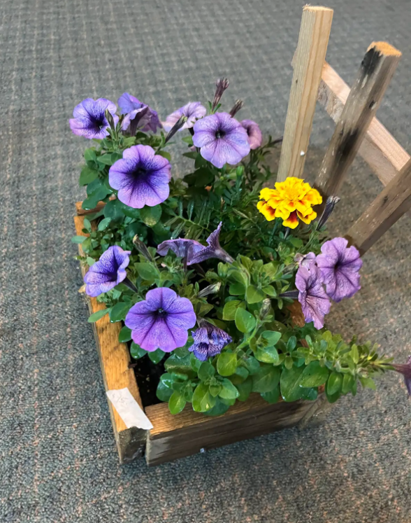 Flower Planter
