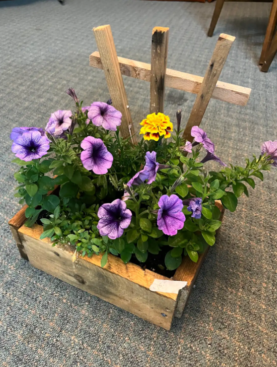Flower Planter