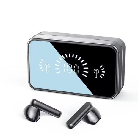 Mirror Finish Earbuds